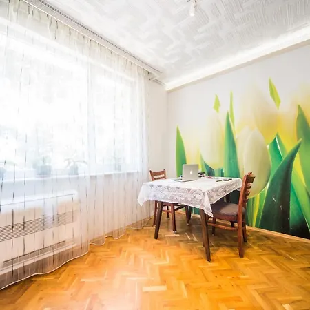 Apartment 3 Separate Bedrooms - Spacious Flat